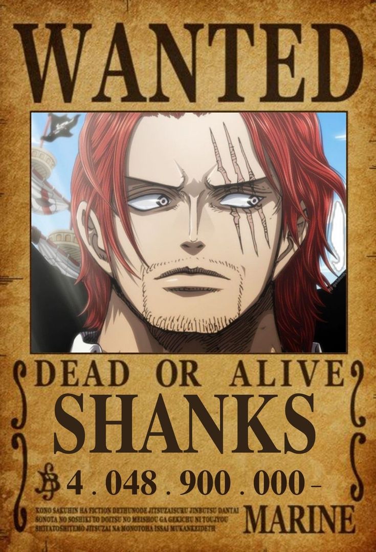 One Piece Wanted